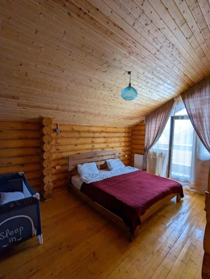 バクリアニ Log Houseヴィラ エクステリア 写真
