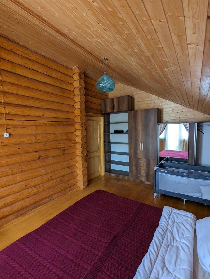 バクリアニ Log Houseヴィラ エクステリア 写真