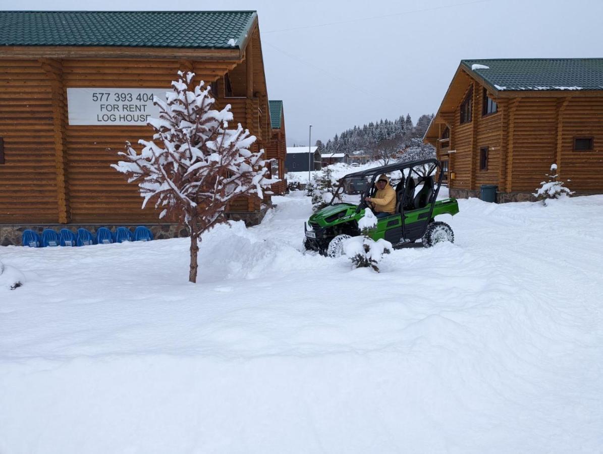 バクリアニ Log Houseヴィラ エクステリア 写真